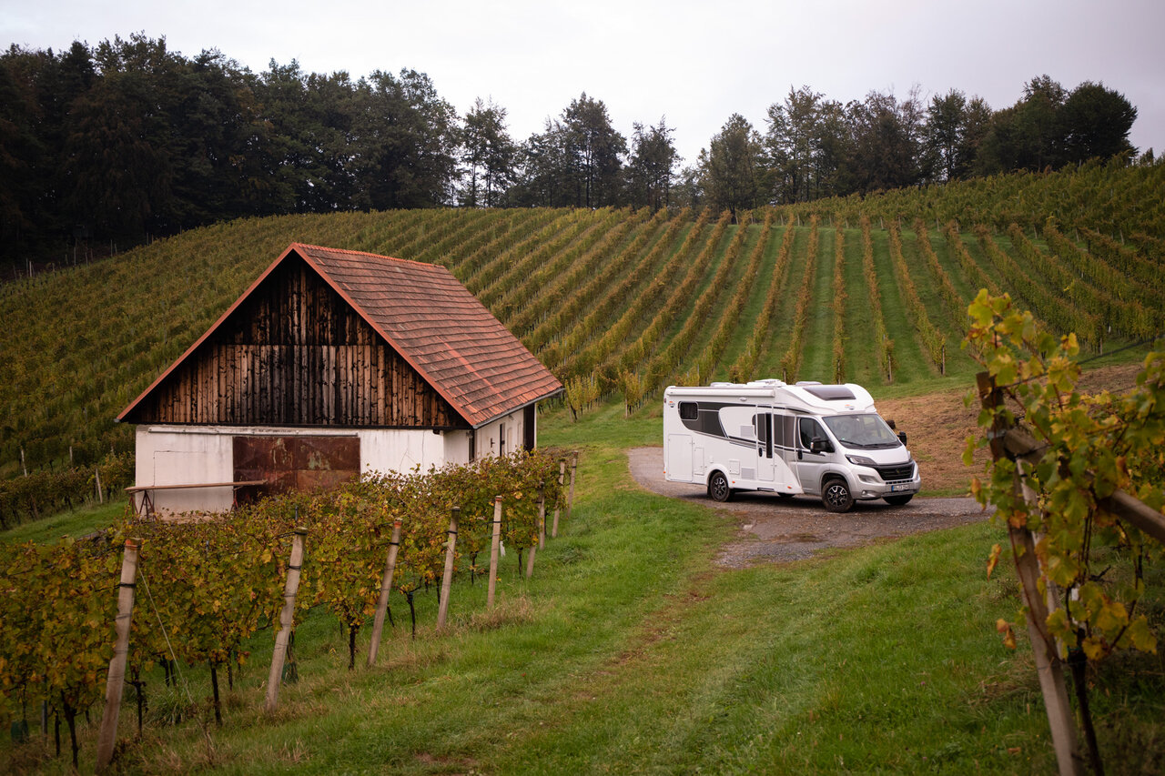 Das Carado Wohnmobil parkt zwischen Weinreben