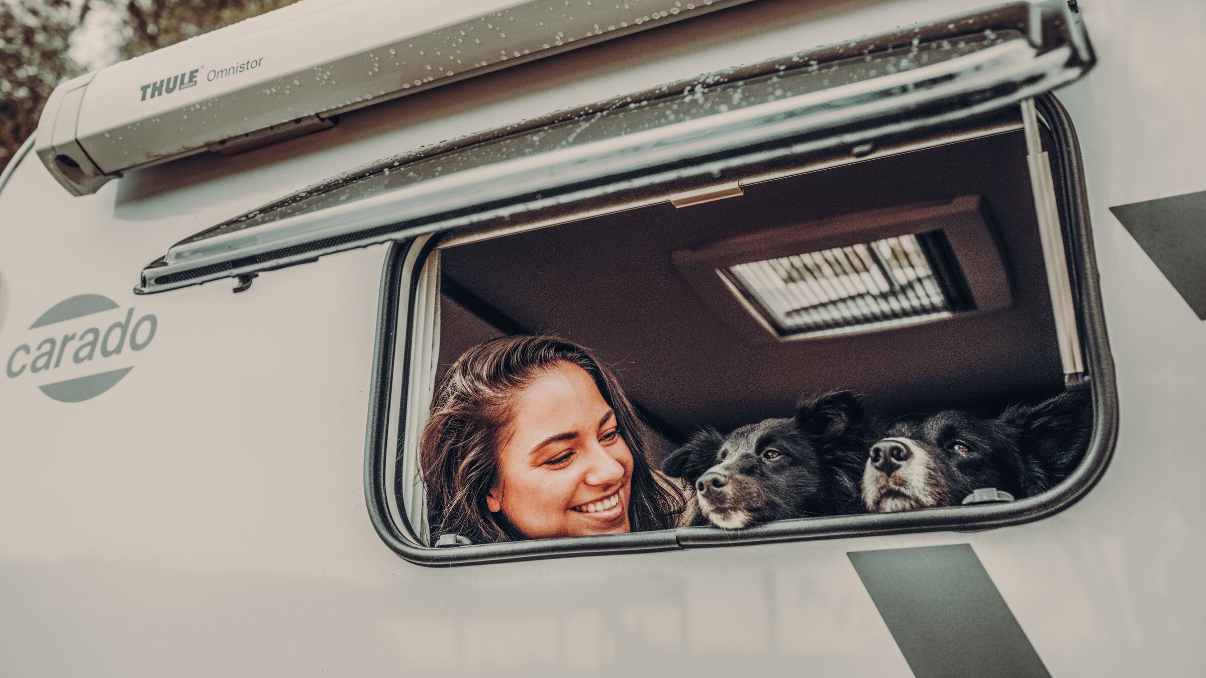 Frau mit Hunden schaut aus dem Wohnmobilfenster
