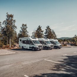 Drei Carado Wohnmobile auf Parkplatz am Waldrand, Front- und Seitenansicht
