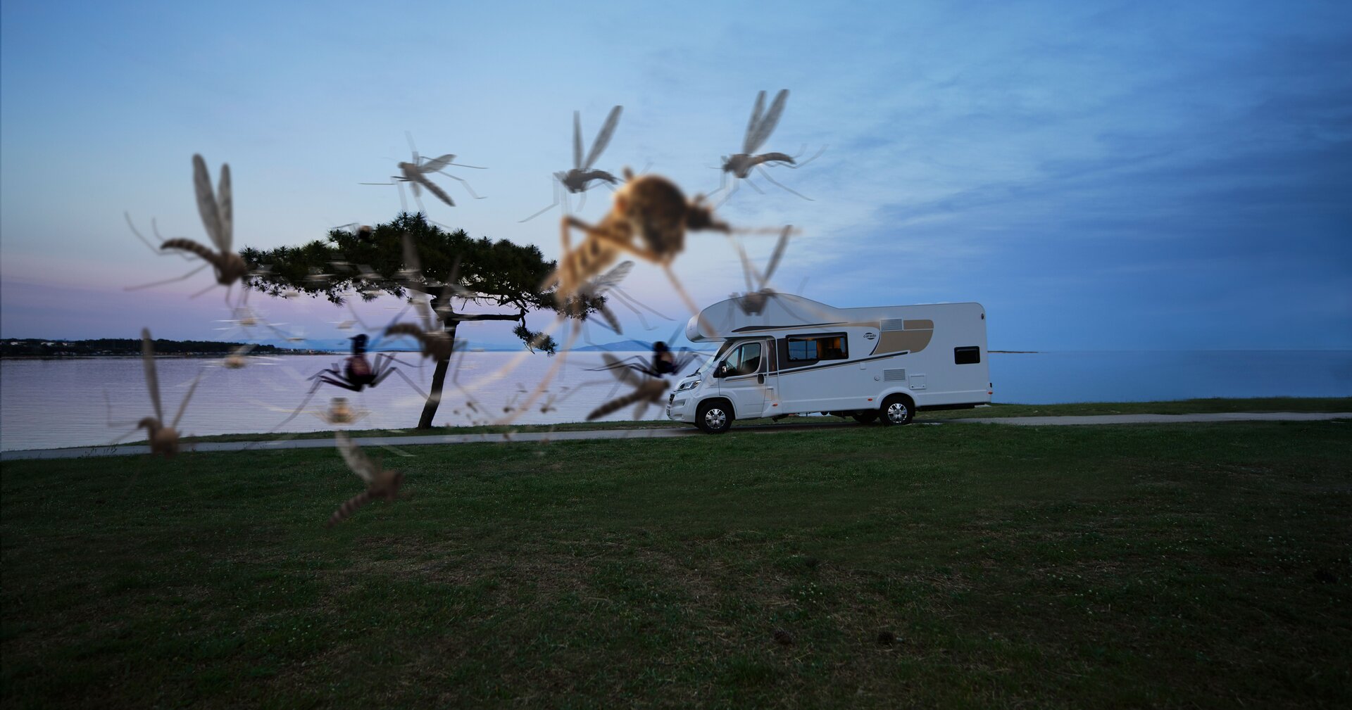 Mücken fliegen vor dem Wohnmobil