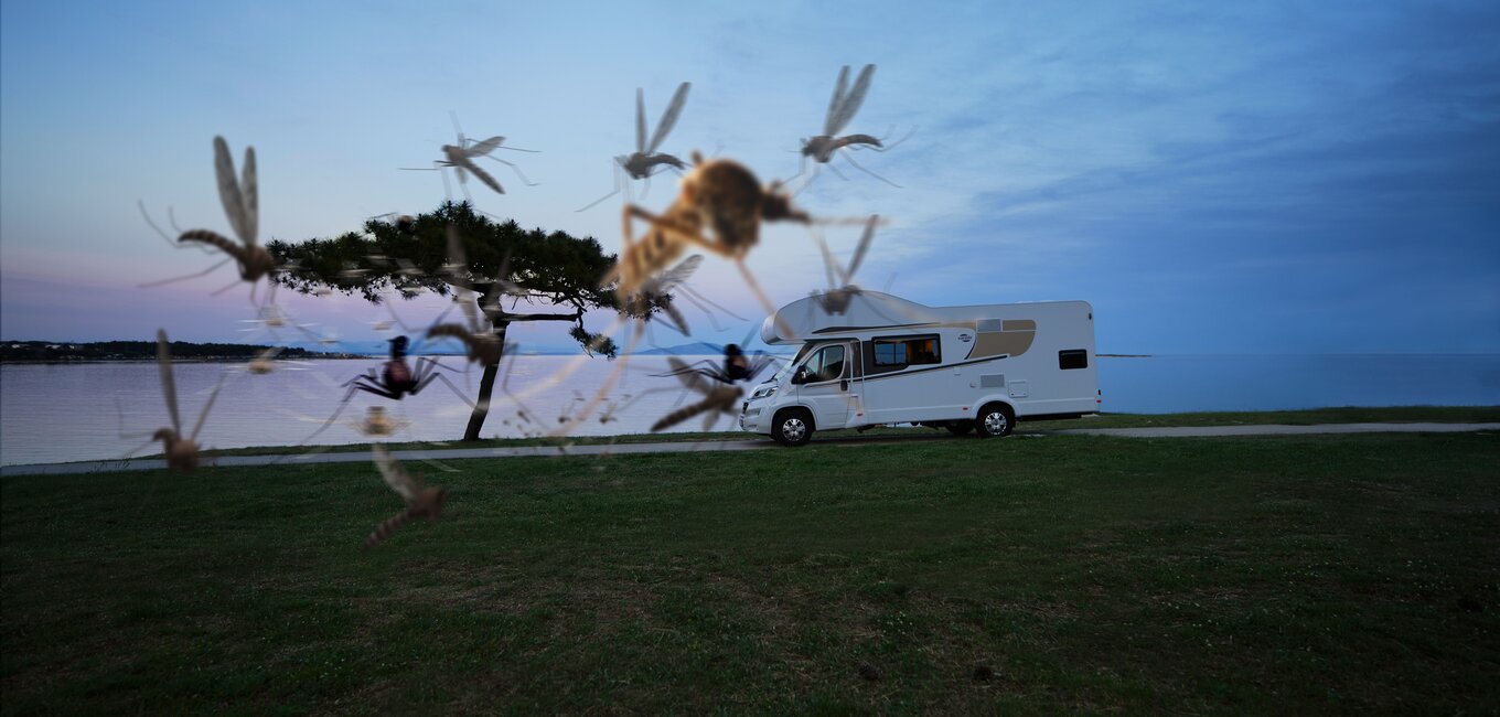 Mücken fliegen vor dem Wohnmobil
