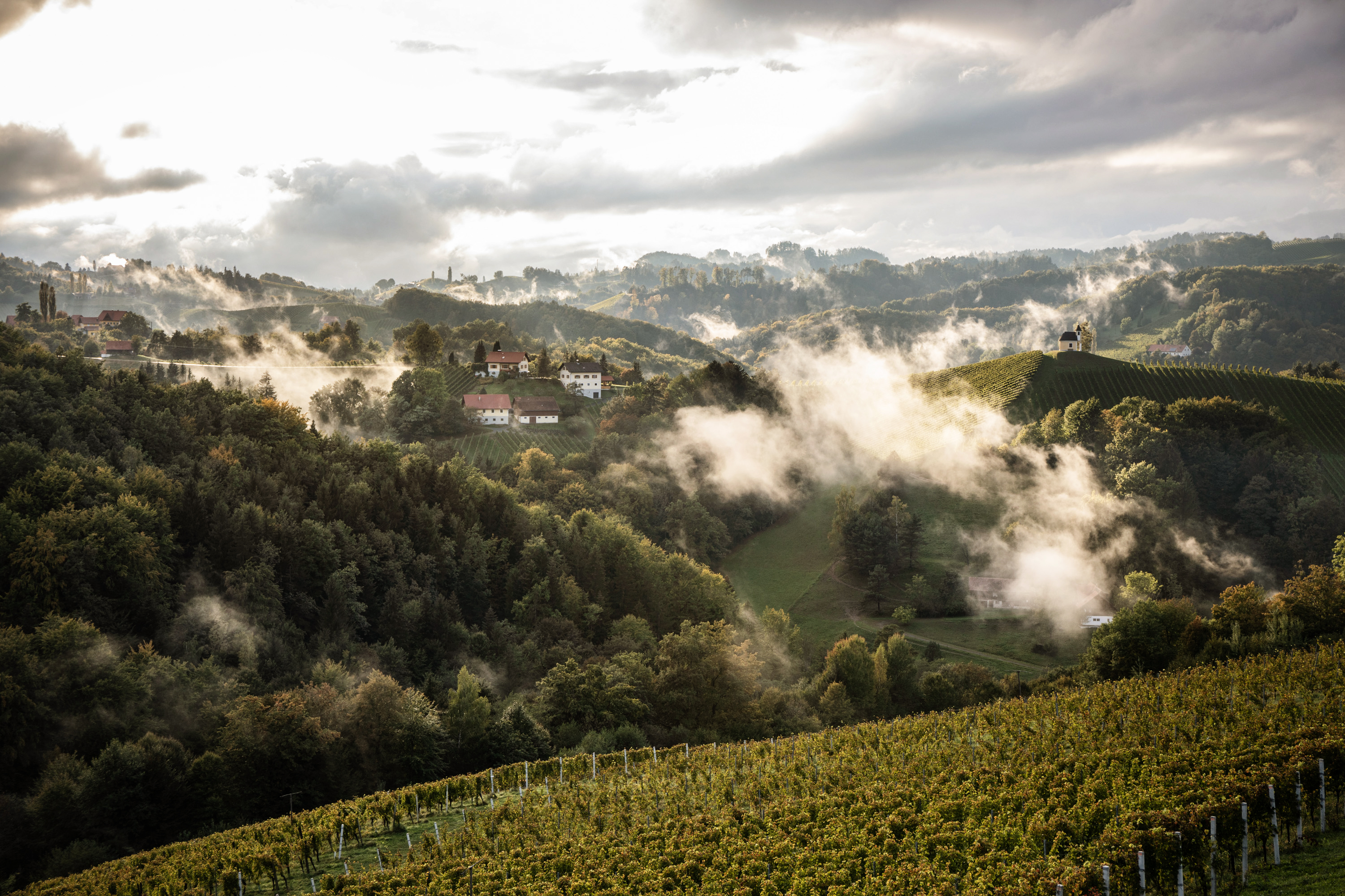 Weinreise in die Weinberge mit Carado Wohnmobil