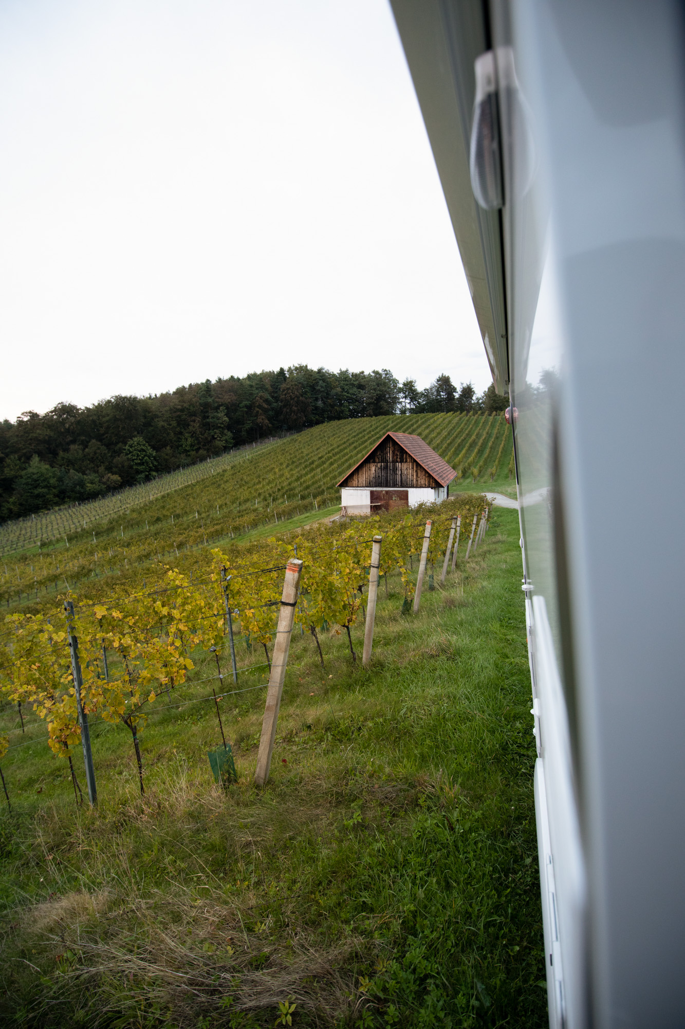 Das Wohnmobil von Carado steht im Weinberg