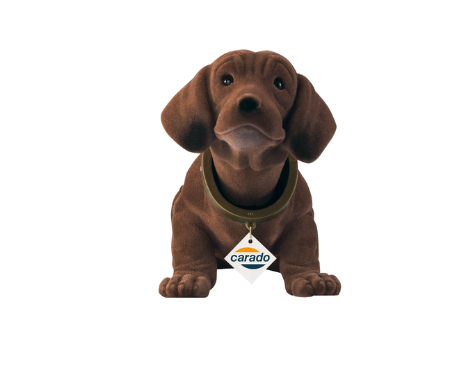 Rudi, le teckel à tête remuante
