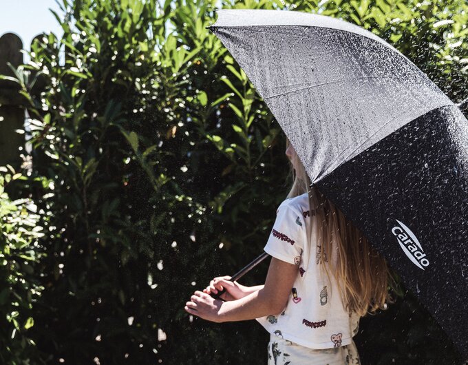 Regenschirm