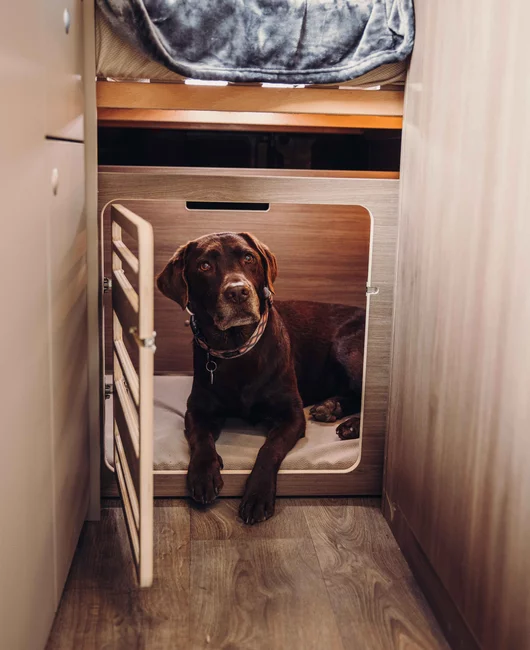 More safety for motorhomes and camper vans from Carado with the