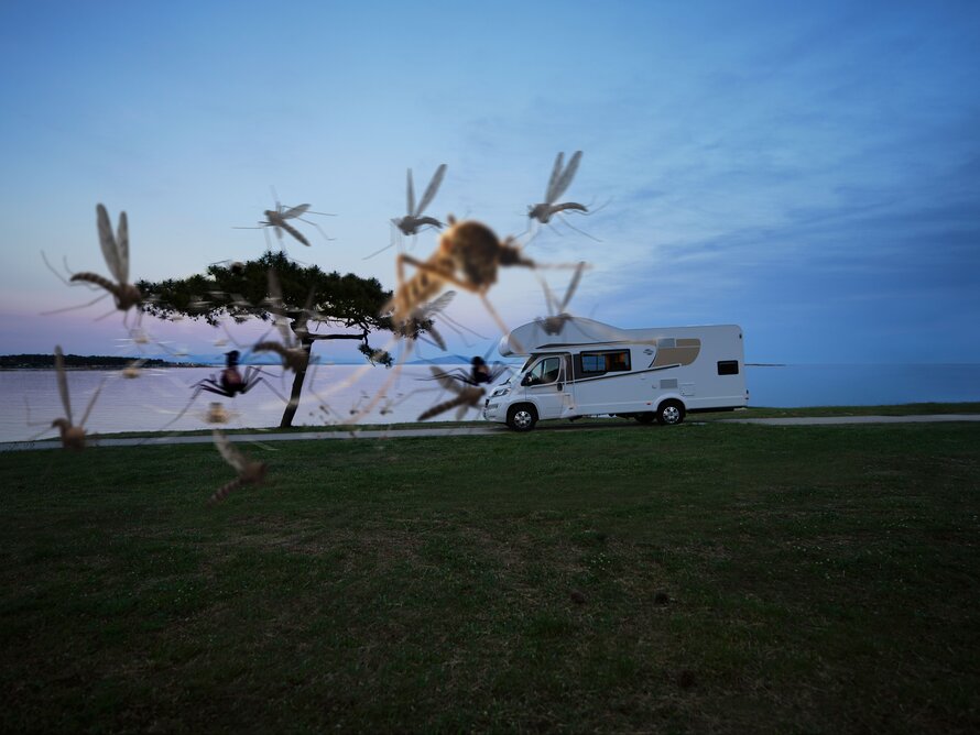 Mücken fliegen vor dem Wohnmobil