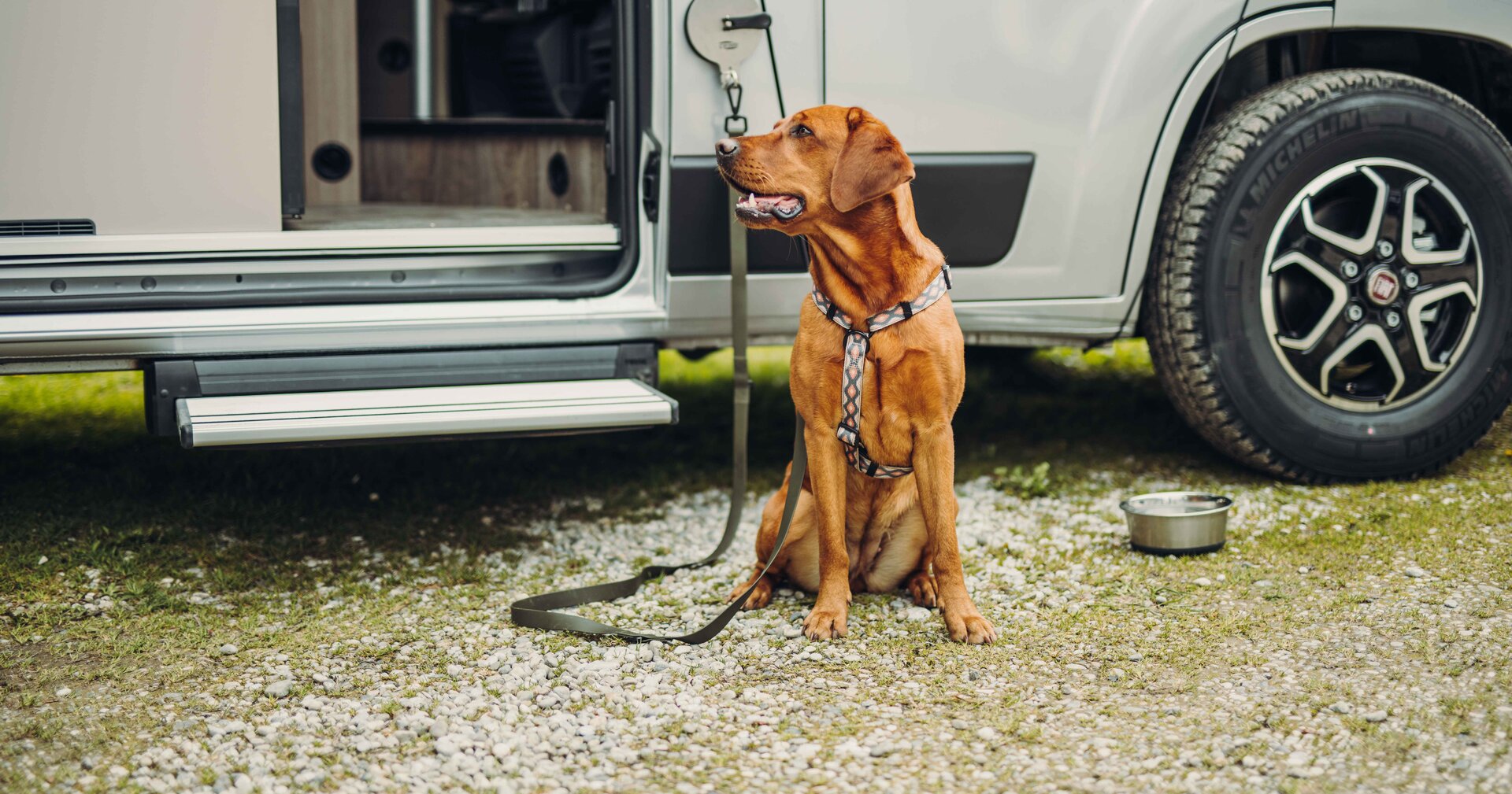 Hund angeleint am Wohnmobil