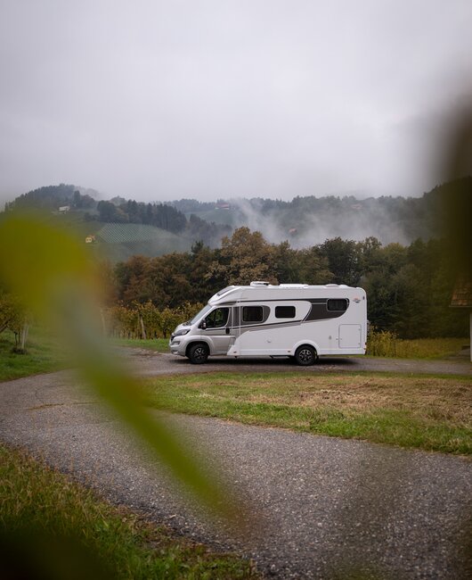 Carado auf dem Weg durch die Weinberge