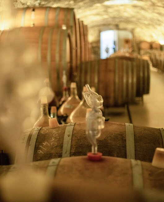 Im Weinkeller Weingut