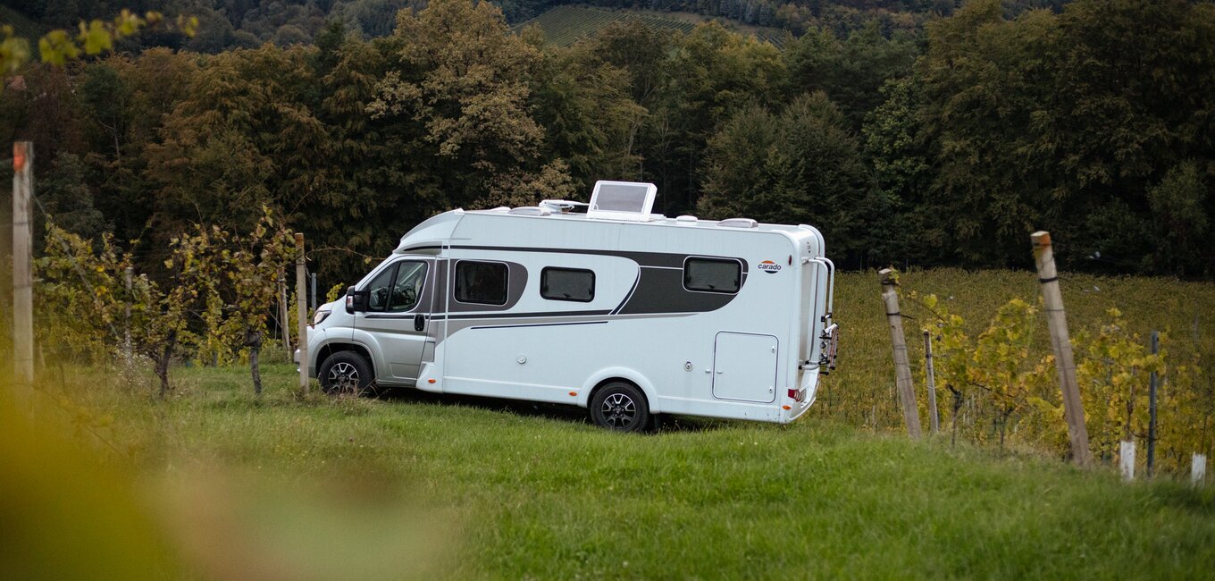Kurze Pause in den Weinberge mit dem Wohnmobil
