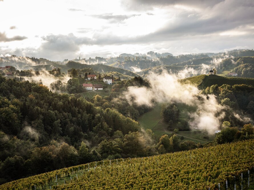 Weinreise in die Weinberge mit Carado Wohnmobil